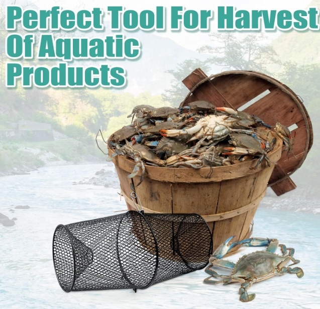 Armadilha de lagosta de metal  - Fishing Equipment Market avaliação e preço