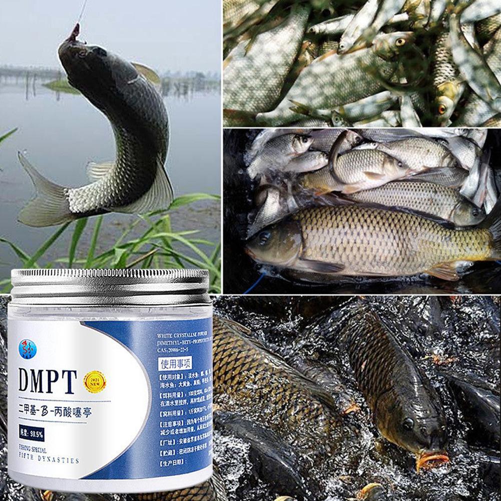 50g real dmpt isca de pesca de - Fishing Equipment Market avaliação e preço
